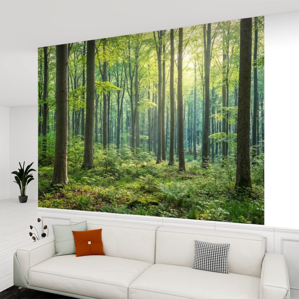 Sunlit Green Forest Peel and Stick Wall Mural, Woodland Trees Nature Wallpaper, Bedroom Living Room Accent Wall Decor