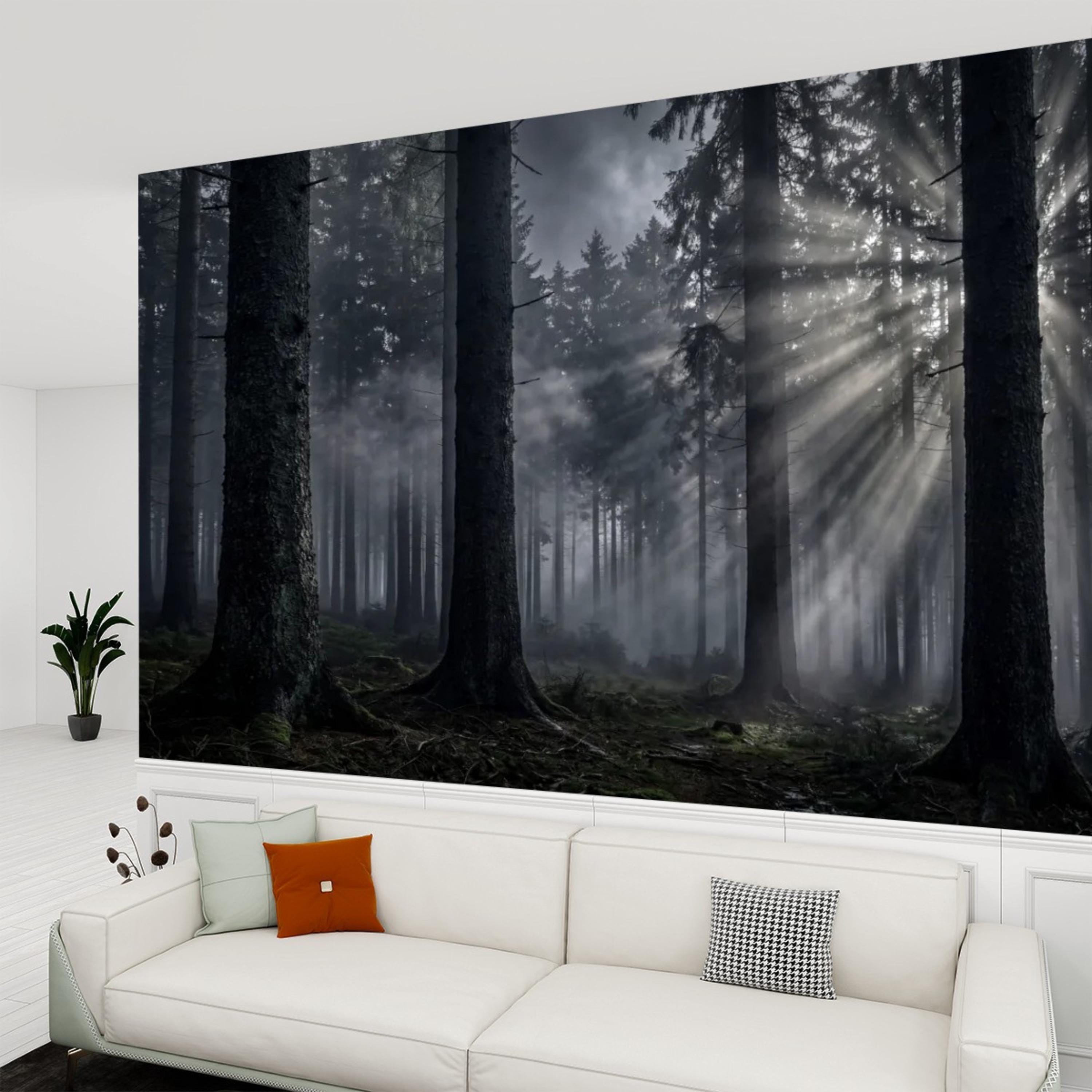 Moody Misty Forest Peel and Stick Wall Mural, Dark Pine Woodland with Sun Rays, Dramatic Evergreen Nature Wallpaper