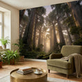 Sunlit Redwood Forest Peel and Stick Wall Mural, Misty Sequoia Trees, Ferns and Moss, Golden Sun Rays Nature Landscape Calm Scenic Wallpaper